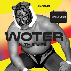 DLR345 WoTeR-In This Life