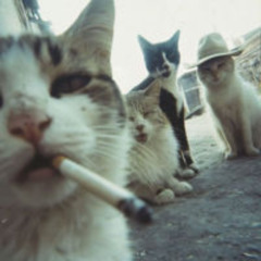 aufgegeben ft. ihatebeingsober