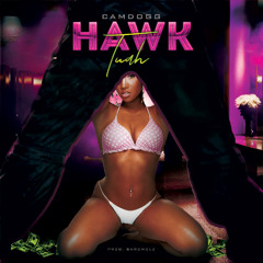 Hawk Tuah (Prod. Bargholz)