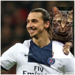 LA RONGE - ZLATAN