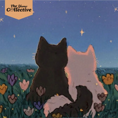 Nimbus Beats - Us in Another Universe