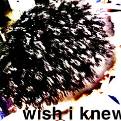wish i knew (1typhlo)