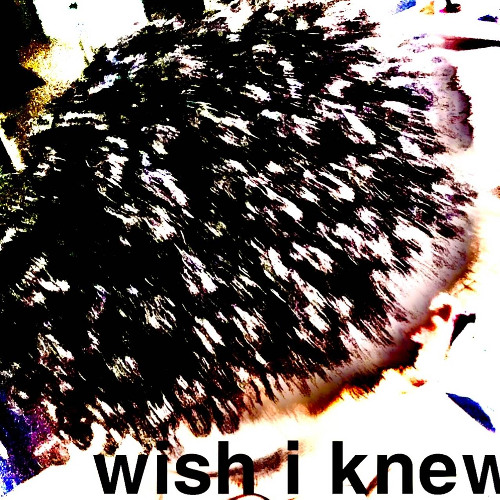 wish i knew (1typhlo)