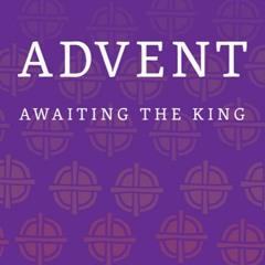 Advent 4 - Birthing Christ Into The World - Then & Now-  Fr. Michael Flowers 12.24.23