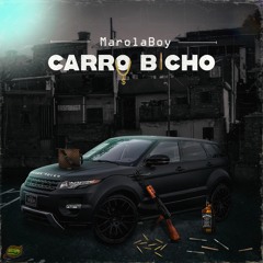 Carro Bicho