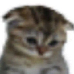 cr0w