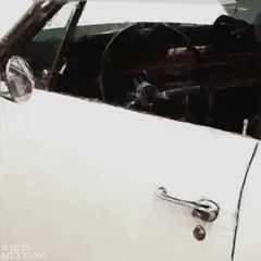white mustang