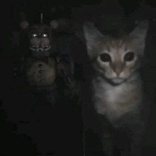 BEHIND YOU