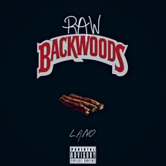 RAW.BACKWOODS PT. I (PROD. B.YOUNG)