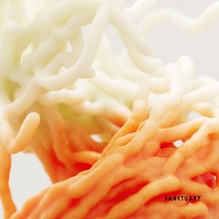 Samer Soltan - Virtual Input [Sanctuary]