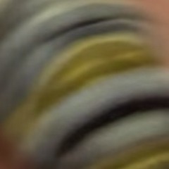 Courtyard Session   S3 : E6