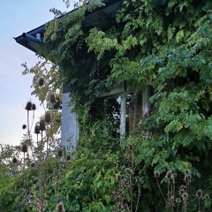 Foliage