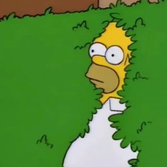 Bushe Bushe (Fuckery)