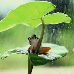 froggy day