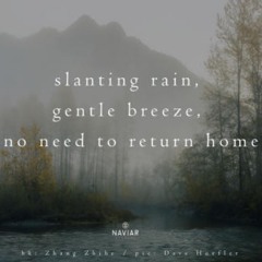 naviarhaiku362: slanting rain