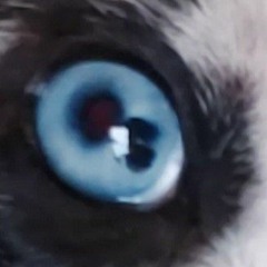 Acrotek mix hardtek g1