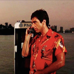 Transporter Freestyle