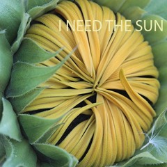 I Need The Sun