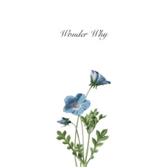 Initiation Ⅱ - Wonder Why | Maedaken House Remix
