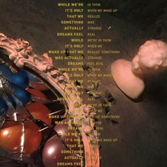 불청객 cover