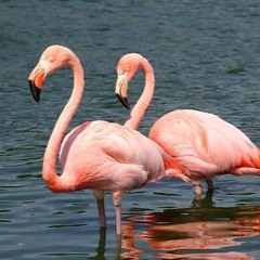 FilthPolitics.[136 bpm]