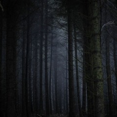 INDEFINITE Ambient Soundscapes - Dark Forest