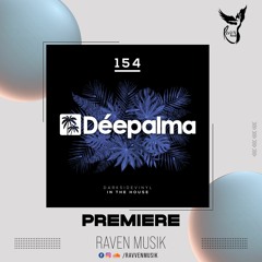 PREMIERE: Darksidevinyl - In The House (Extended Mix) [Déepalma Records]