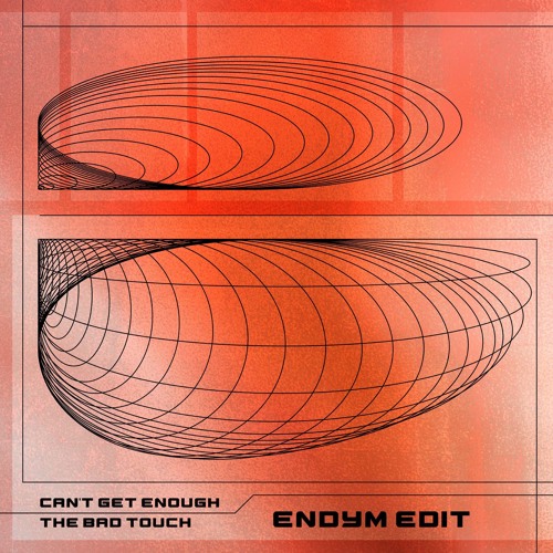 SINDEX PREMIERE: Endym - The Bad Touch
