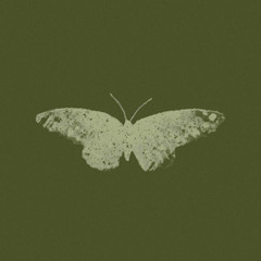 LOW LIGHTS X A GOOD MAN WITH A BROKEN HEART - MASHUP