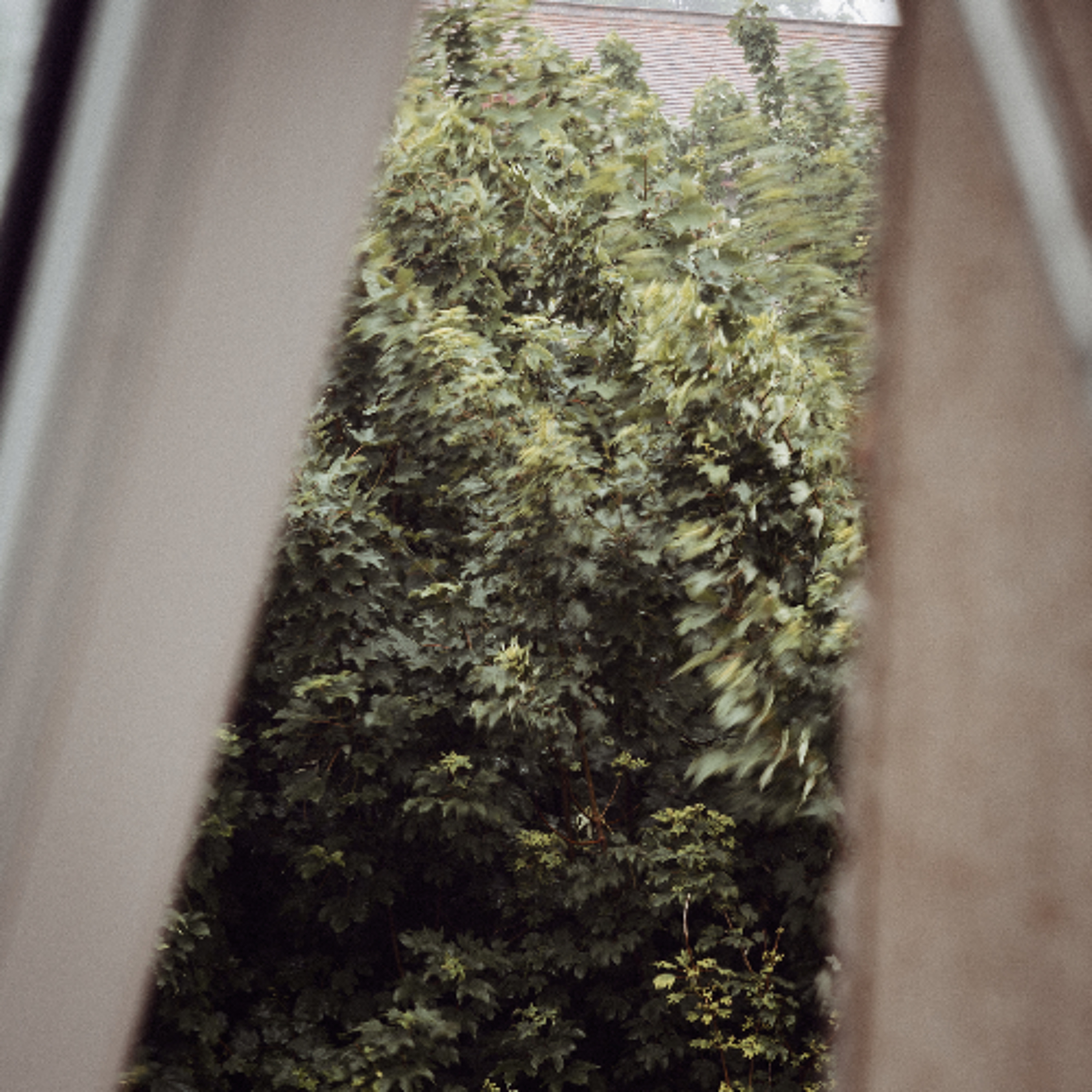 [disquiet0700] In the world. breathing. episode artwork