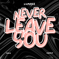 Lumidee - Never Leave You (Thib B Mashup) [FREE DOWNLOAD]