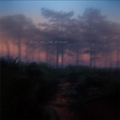 fire in th_forest (yasuma)
