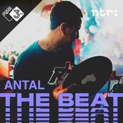 The Beat Mix: Antal