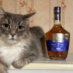 disstrack stas (prod. dil0)