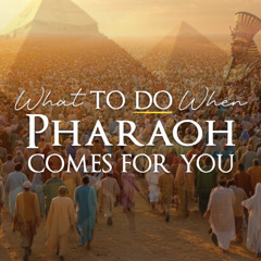 Rev. Preston Brown - 2025.02.05 WED PM PREACHING - What To Do When Pharaoh Comes For You