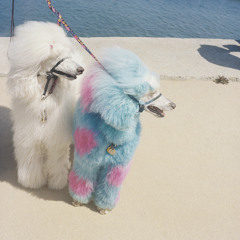 fabriceetloreilleclassee#27