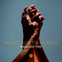 Night Bus to Vilnius (feat. Sylvain Debaisieux, Federico Stocchi & Angelo Moustapha)