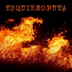 TEQUIEROPUTA