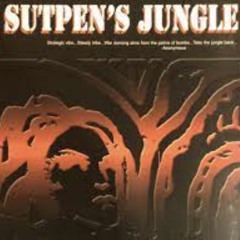 DJ SS - Live @ Sutpen's Jungle - Philadelphia, PA
