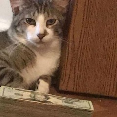 Veeze - Murder Money Ft Trvpmoneyy Vdough (Prod By TanaFyeThatShitUp)teejayx7