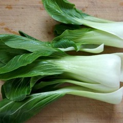 Splurt Diablo - Choi