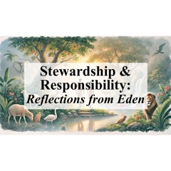Stewardship And Responsibility