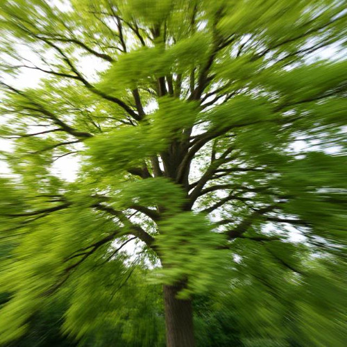 blurry