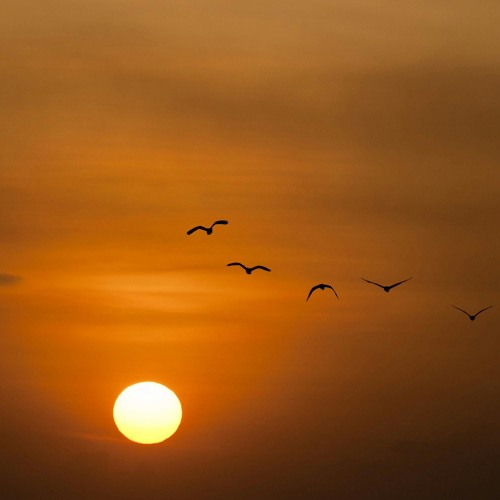 A Full Circle Around The Sun