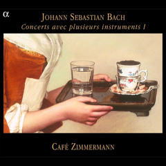 Concerto pour hautbois d'amour in A Major, BWV 1055: II. Larghetto