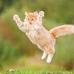 IMORTA1NA, AQUVRIUS - Noite Perigosa (SPEED UP)