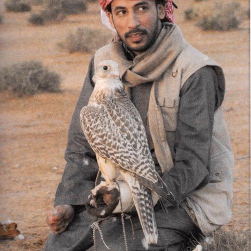 محمد بن فطيس | هي راس مالي