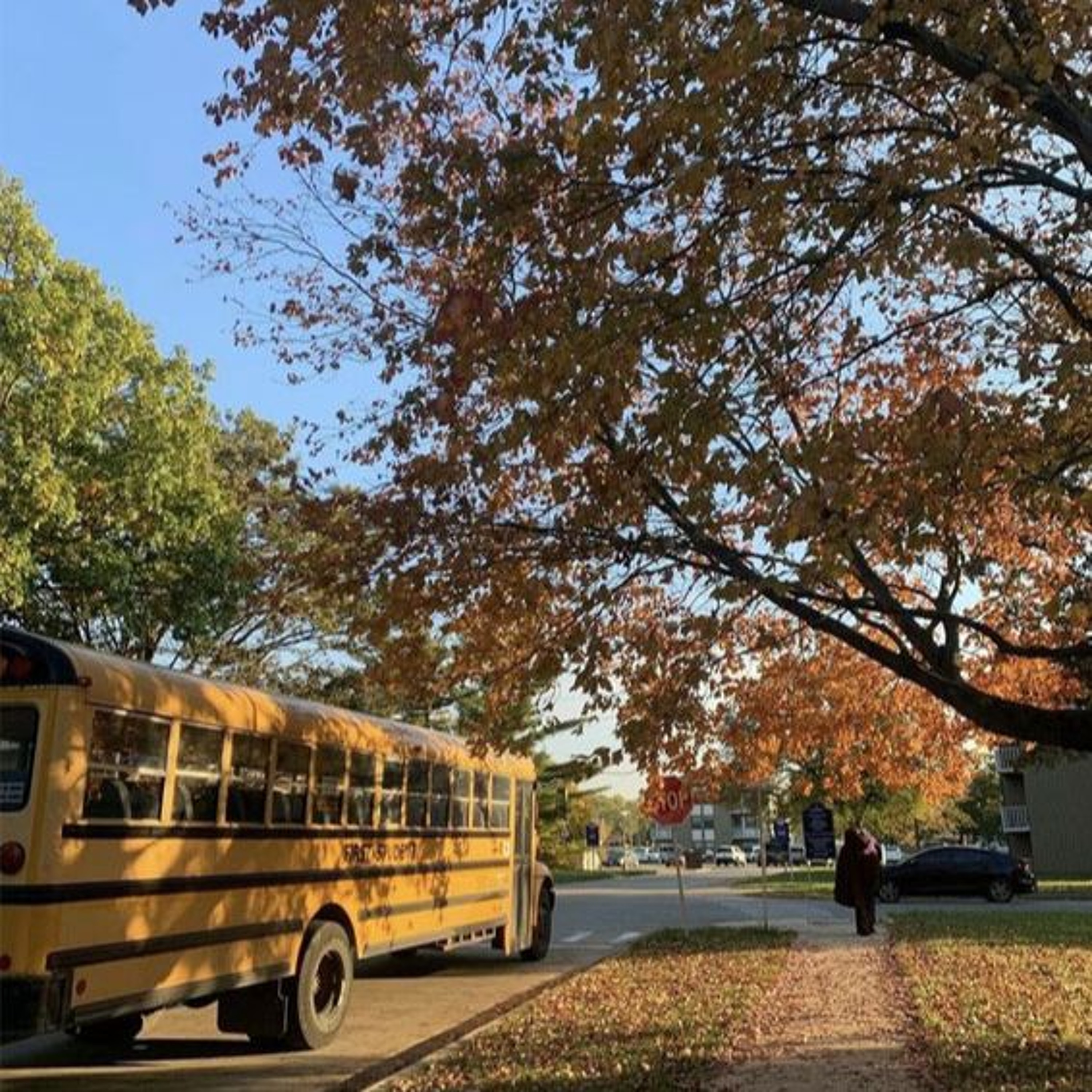 223: Back to School