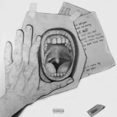 say what u want (prod. by shingan)