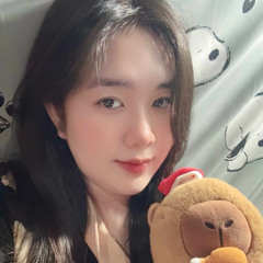 NST VIET MIX - THANH PHU VOL 1